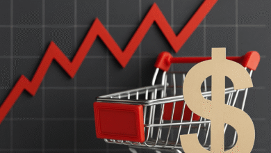 Hayat Pahalılığı