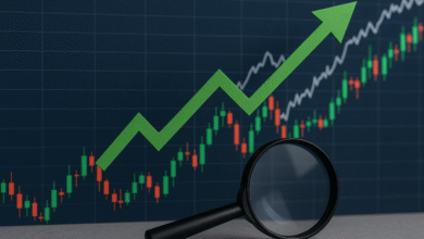 Borsa İstanbul Analizi (2023-2025)