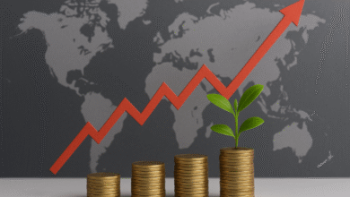 Gelişen Piyasalar ve Büyüme Trendleri