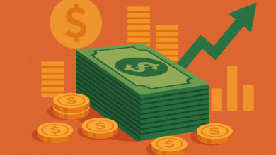 Para Arzının Artırılması